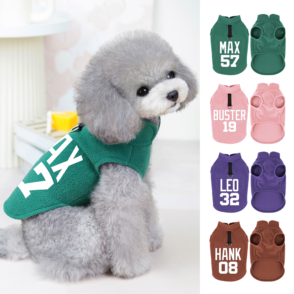 Winter Clothing Name - Personalized Dog Clothes Free Print Pet